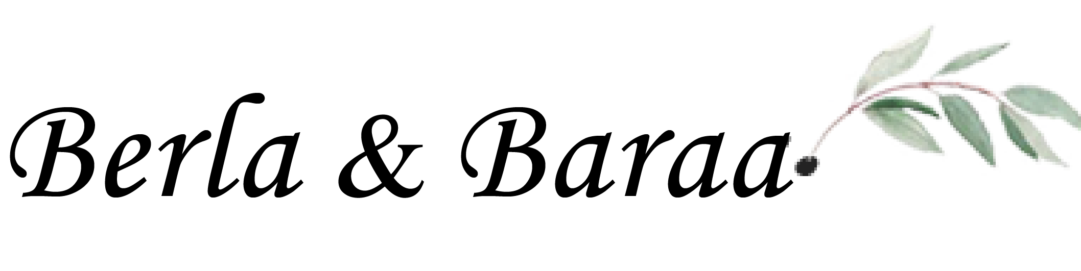 Welcome to Berla & Baraa Big Day